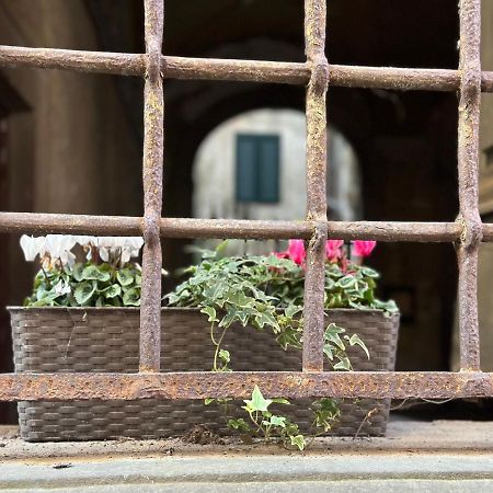 In Centro Lovely Home Lucca Exterior photo