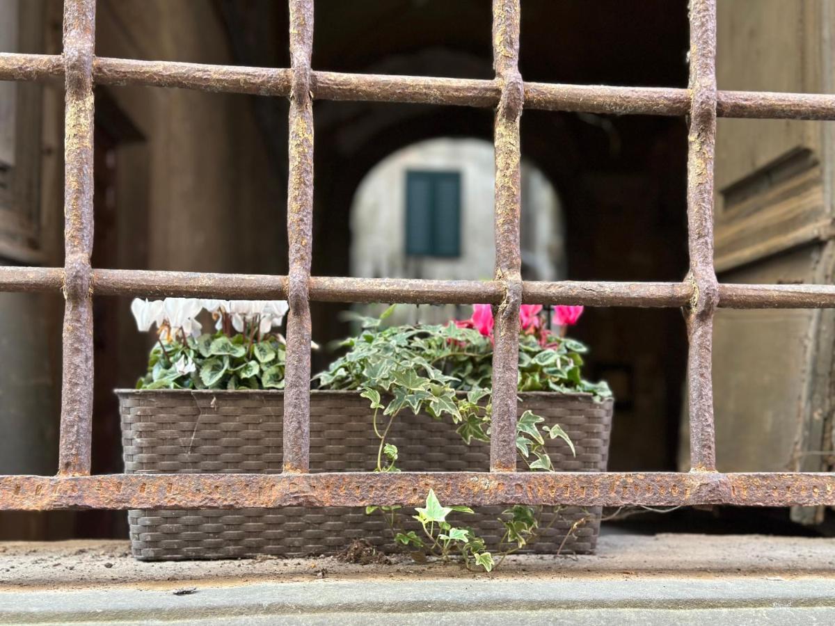 In Centro Lovely Home Lucca Exterior photo